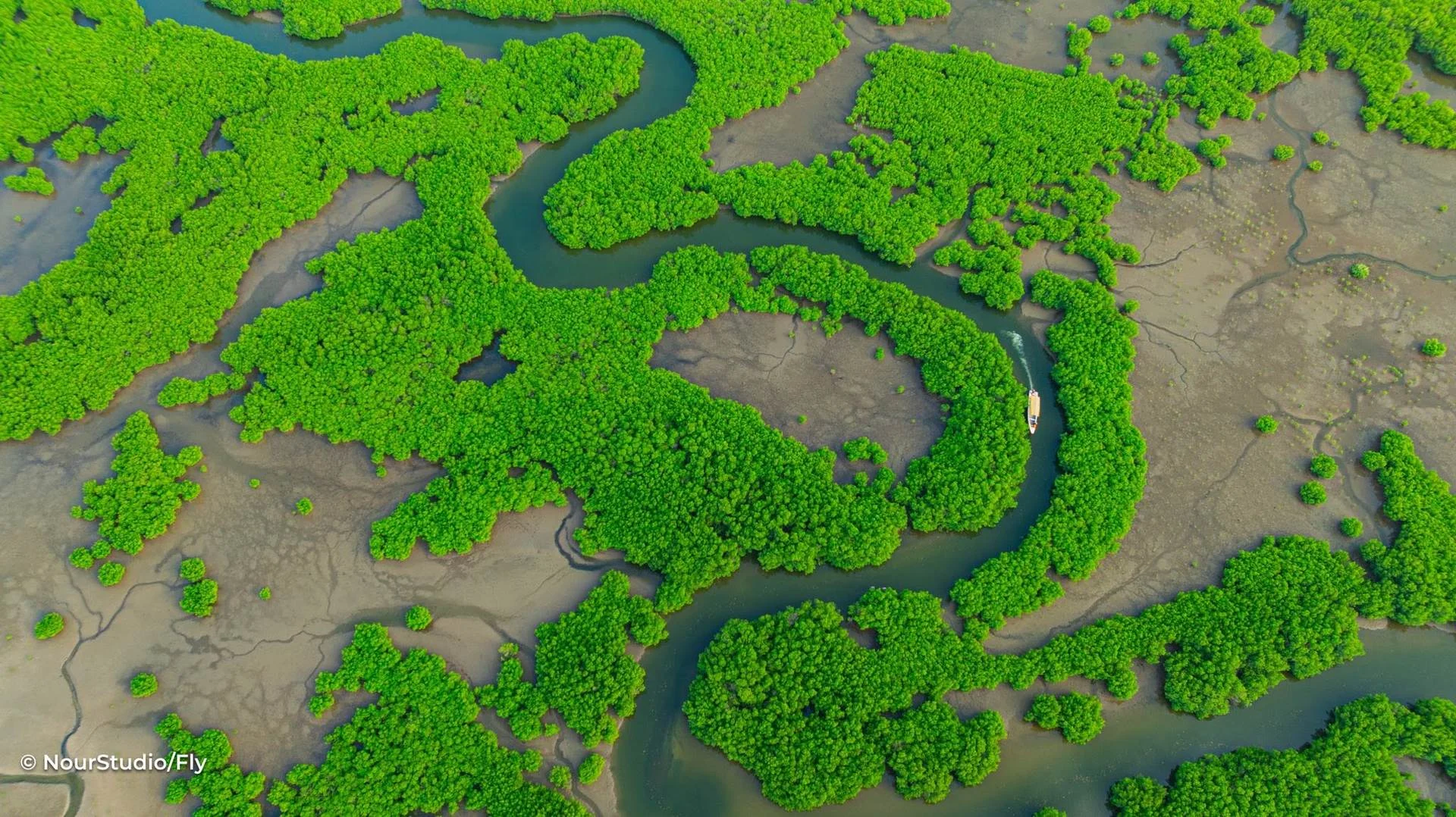 Vue aérienne de la mangrove du delta du Saloum