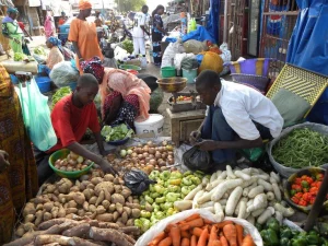 Logo Marché central de Sokone