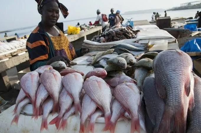Réaménagement du quai de pêche